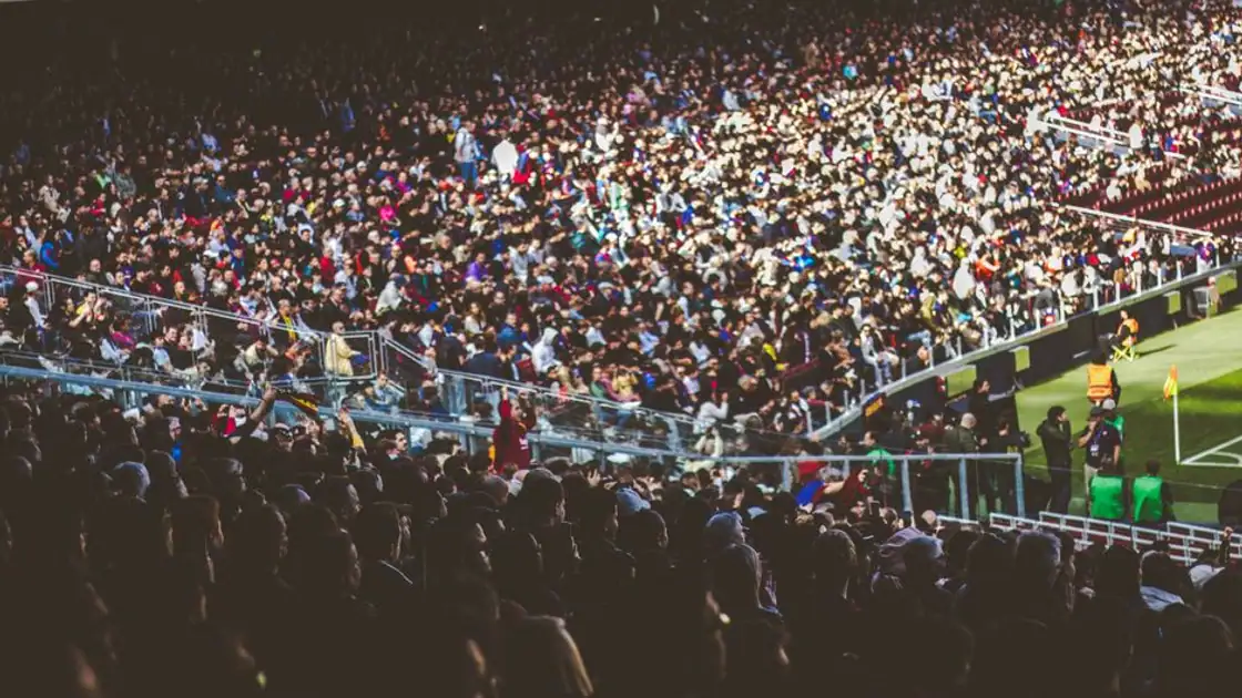 Software Development for Sports Betting Operators