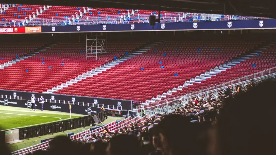 Sports Exchange vs Sportsbook: Operator's Platform Guide | Sudonex.com